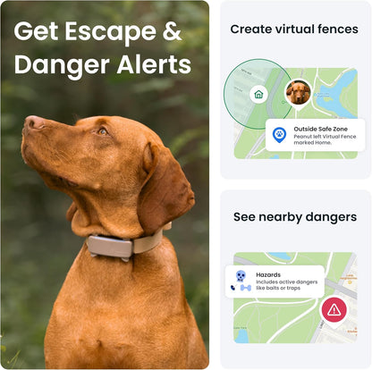 Tractive GPS Dog Tracker | 2025 Edition | Market Leader | Real-time Location Tracking | Escape Alerts | Activity Monitoring | Health Alerts | Bark Monitoring (Brown)