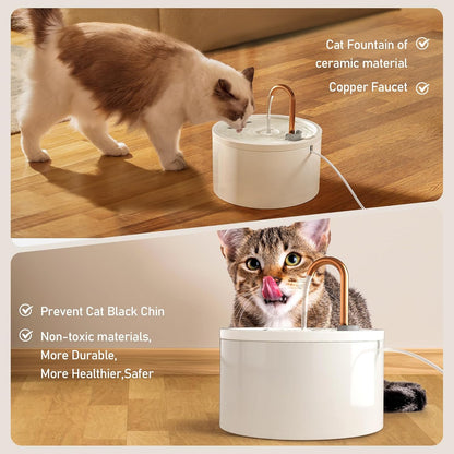 DOOOB Ceramic Cat Water Fountain, 2.1L/71oz Ceramic Cat Fountain, Automatic Ceramic Water Fountain for Cats, Pet Water Fountain with Ultra-Quiet Pump and Filter & Sponge (White)