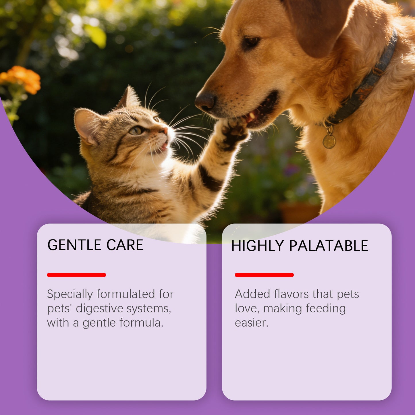 Probiotic Powder For Pet Intestinal Care