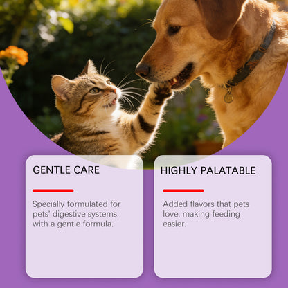 Probiotic Powder For Pet Intestinal Care